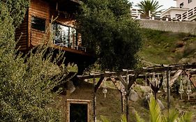 Boskenvid Hotel - Romantic Treehouses & Skypool